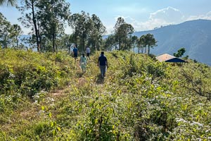 Erweiterung der Kaffee-Farm in der Sindhupalchok-Region